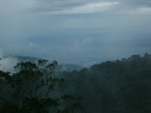 P1000323.JPG