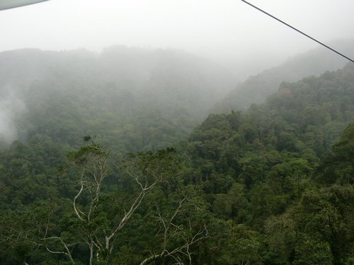 P1000324.JPG