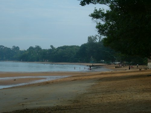 P1000371.JPG