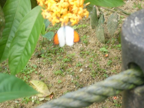 P1000383.JPG