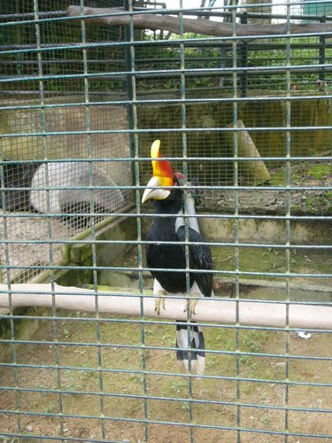 P1000393.JPG