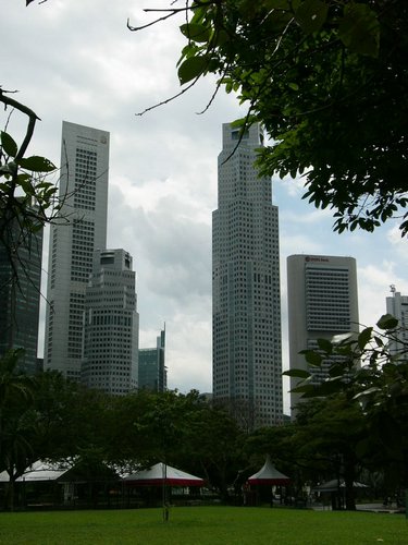 P1000419.JPG