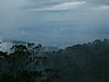 P1000323.JPG