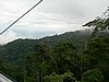P1000325.JPG