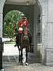 P1000328.JPG