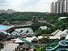P1000356.JPG