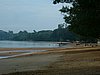 P1000371.JPG