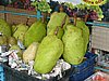 P1000380.JPG