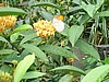 P1000382.JPG