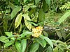 P1000390.JPG