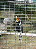 P1000393.JPG