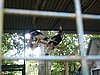 P1000396.JPG