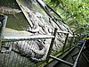P1000401.JPG