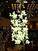 P1000404.JPG