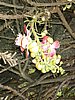 P1000408.JPG