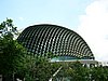 P1000409.JPG